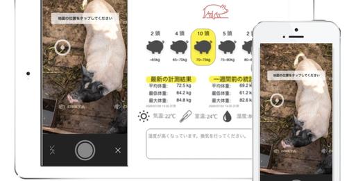 スマート畜産の普及を目指すNTT東日本の通信環境実証実験にAI家畜管理サービスPIGIが協力、IEEE802.11ah活用：techcrunch[コジーの今週気になるＤＸニュースVOL20220216-01]